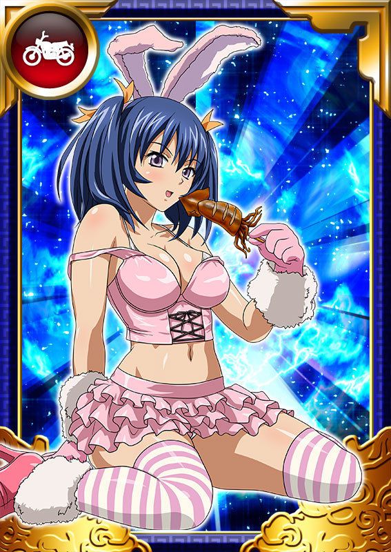 Ikkitousen Cards Coleccyion Bashoku Youjou set 487