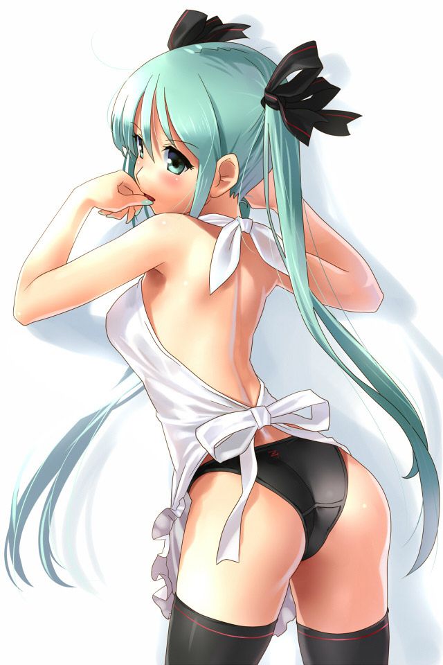 2D Please erotic image of good feeling because I want to pull out with Hatsune Miku for the first time in a long time 41 sheets 26