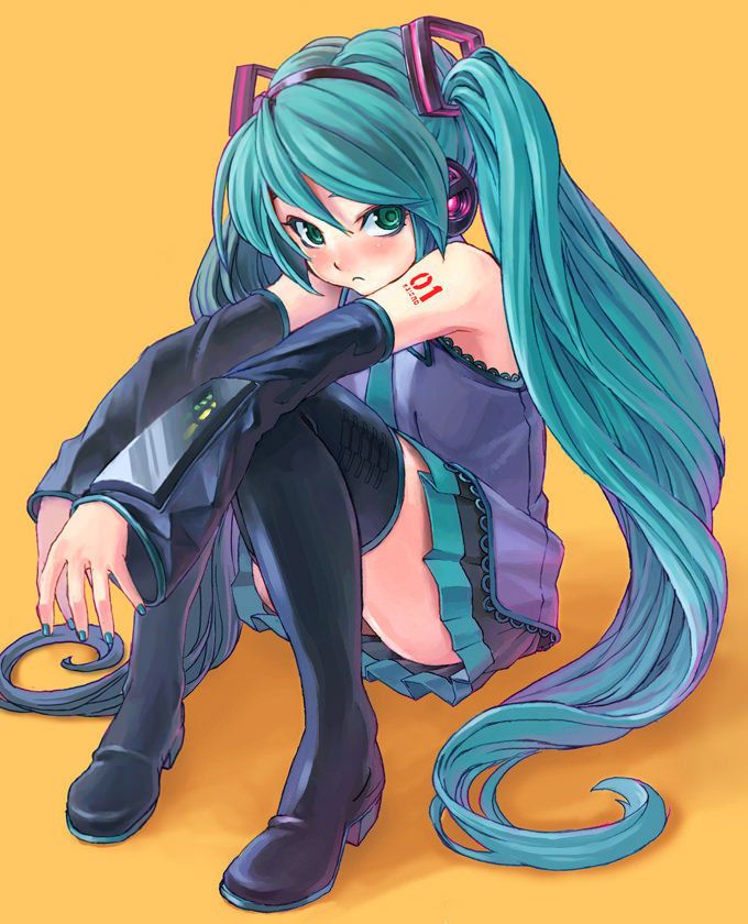 2D Please erotic image of good feeling because I want to pull out with Hatsune Miku for the first time in a long time 41 sheets 9