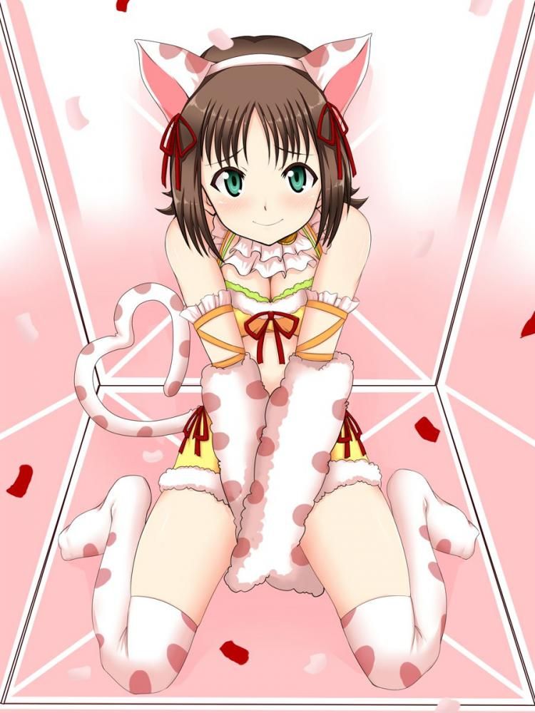 About the case that the secondary image of The Idolmaster Cinderella Girls is too slimy 15