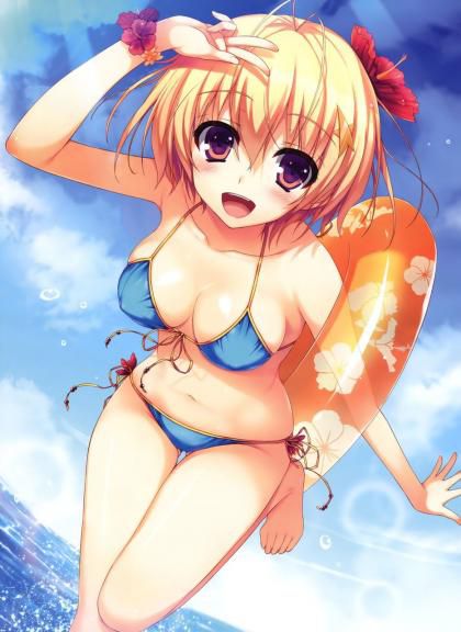 Moe illustration of a swimsuit 12