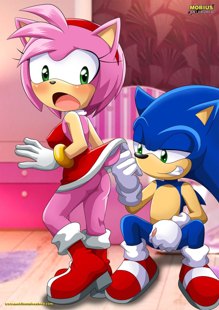 Mobius Unleashed: Sonamy 2