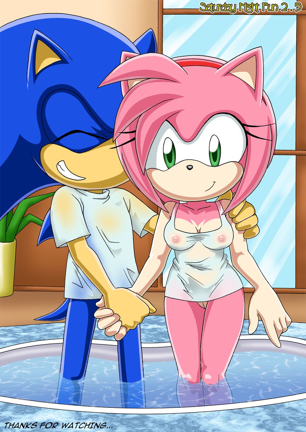 Mobius Unleashed: Sonamy 21