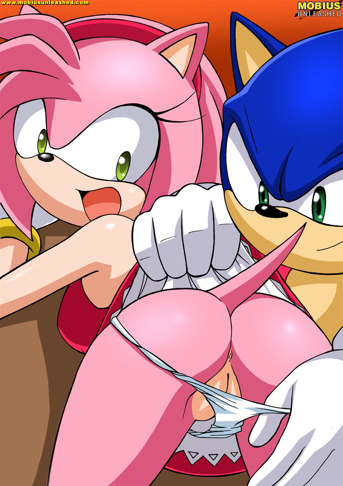 Mobius Unleashed: Sonamy 3