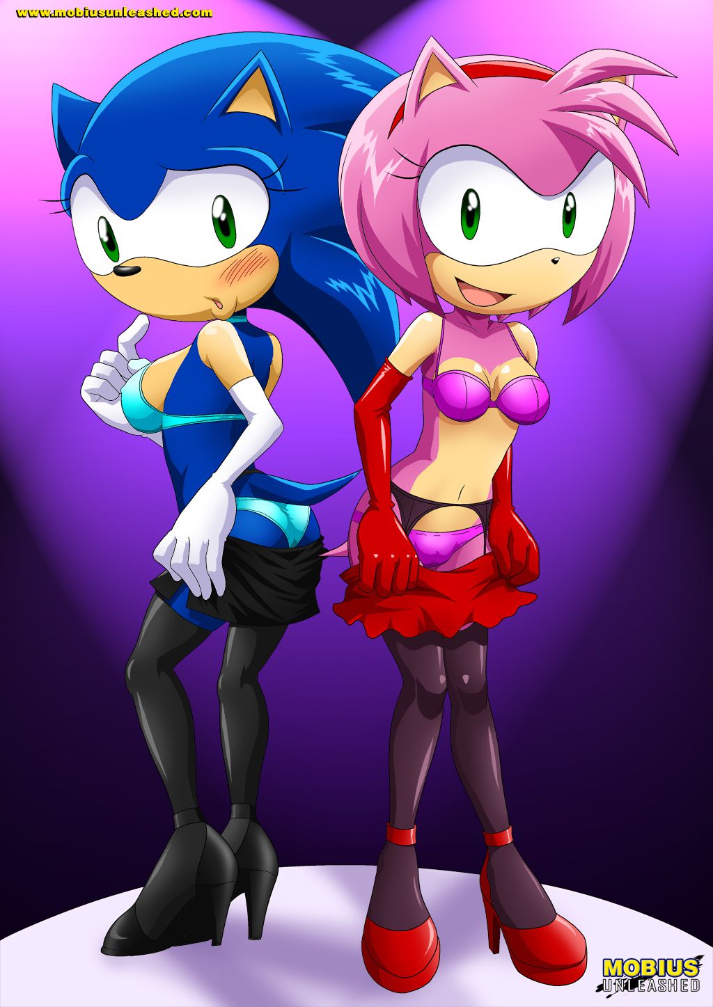 Mobius Unleashed: Sonamy 40