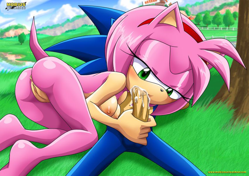 Mobius Unleashed: Sonamy 6