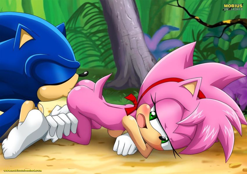 Mobius Unleashed: Sonamy 9