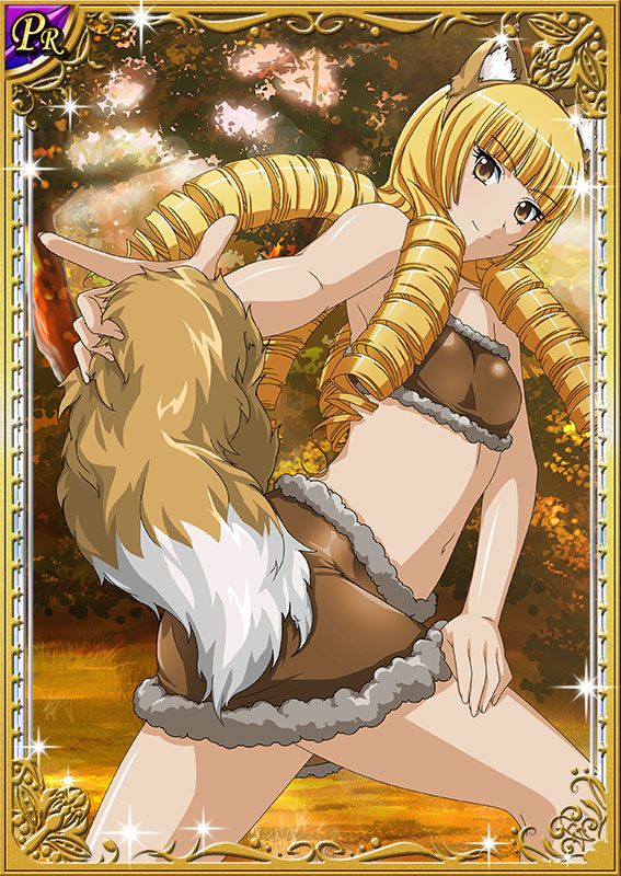 Ikkitousen Cards Coleccyion  Genji Kitagishi set 124