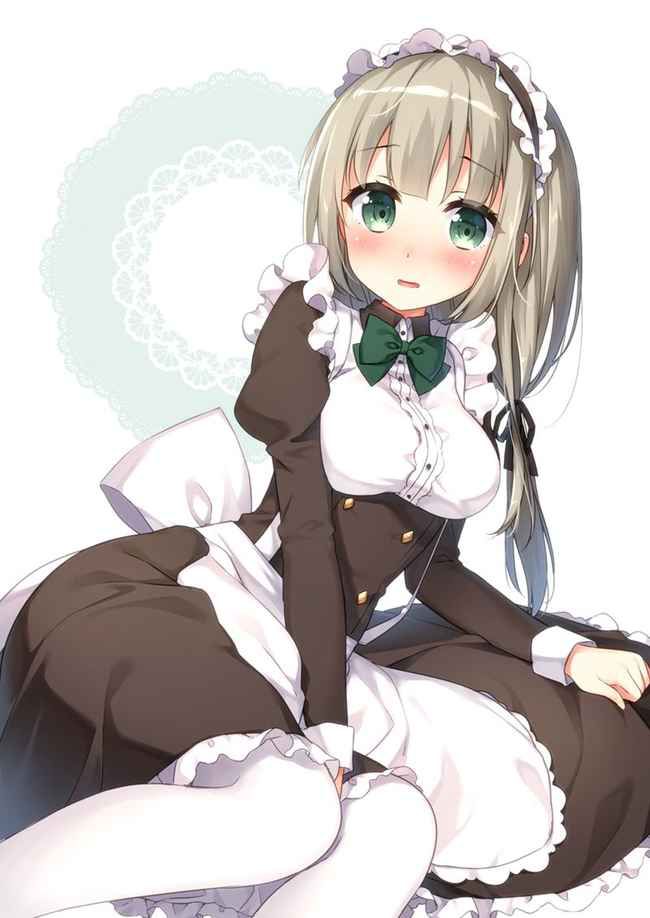 I tried to collect erotic images of maids 19