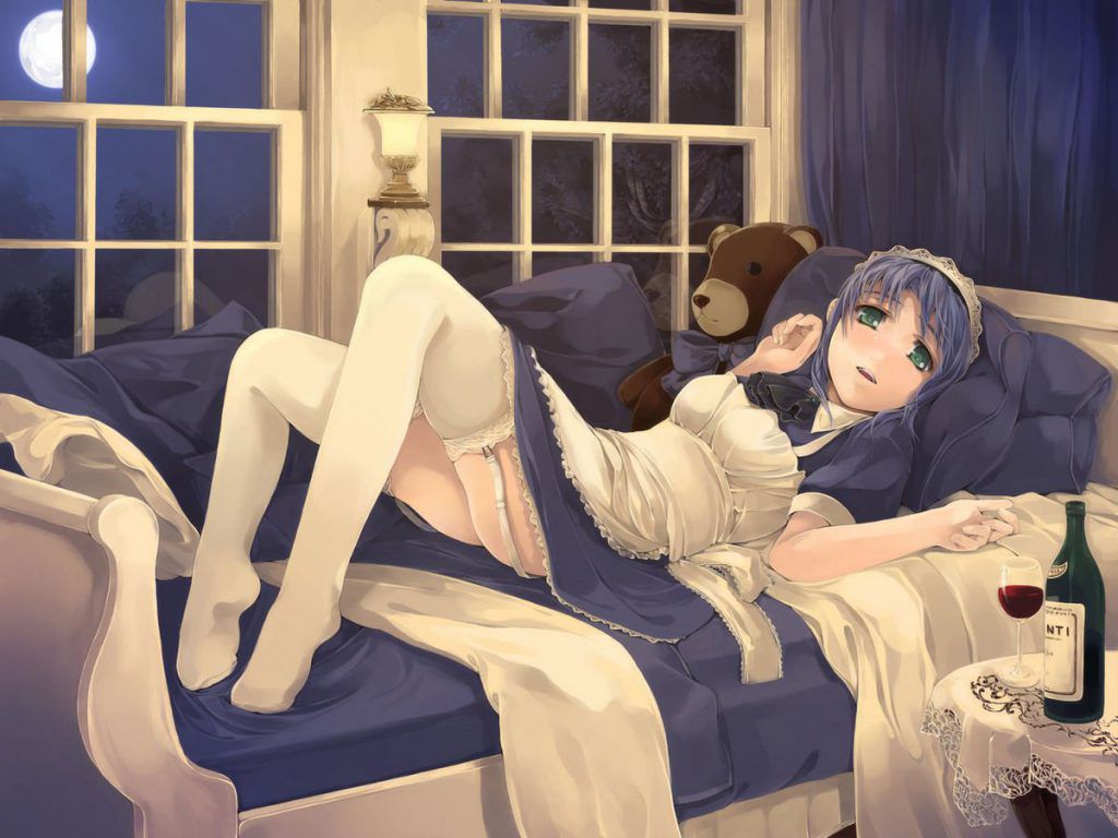 I tried to collect erotic images of maids 3