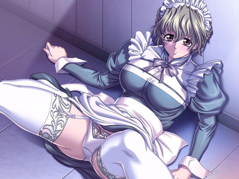 I tried to collect erotic images of maids 5