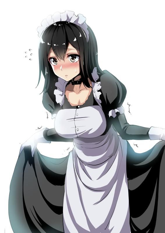 I tried to collect erotic images of maids 6