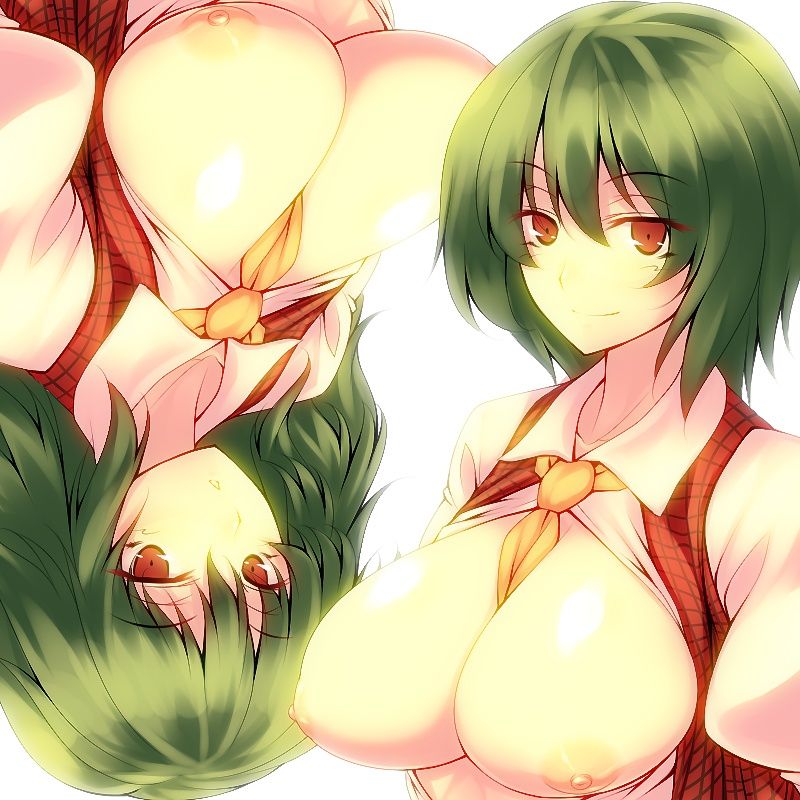 [Touhou Project] erotic image of sunflower sister Fumi Yuka! 10