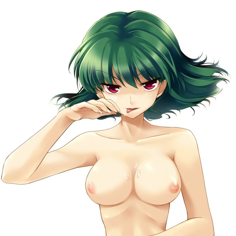 [Touhou Project] erotic image of sunflower sister Fumi Yuka! 13