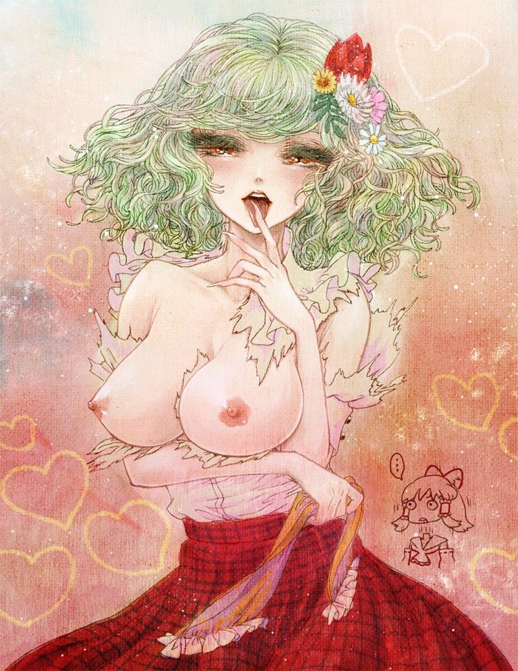 [Touhou Project] erotic image of sunflower sister Fumi Yuka! 25