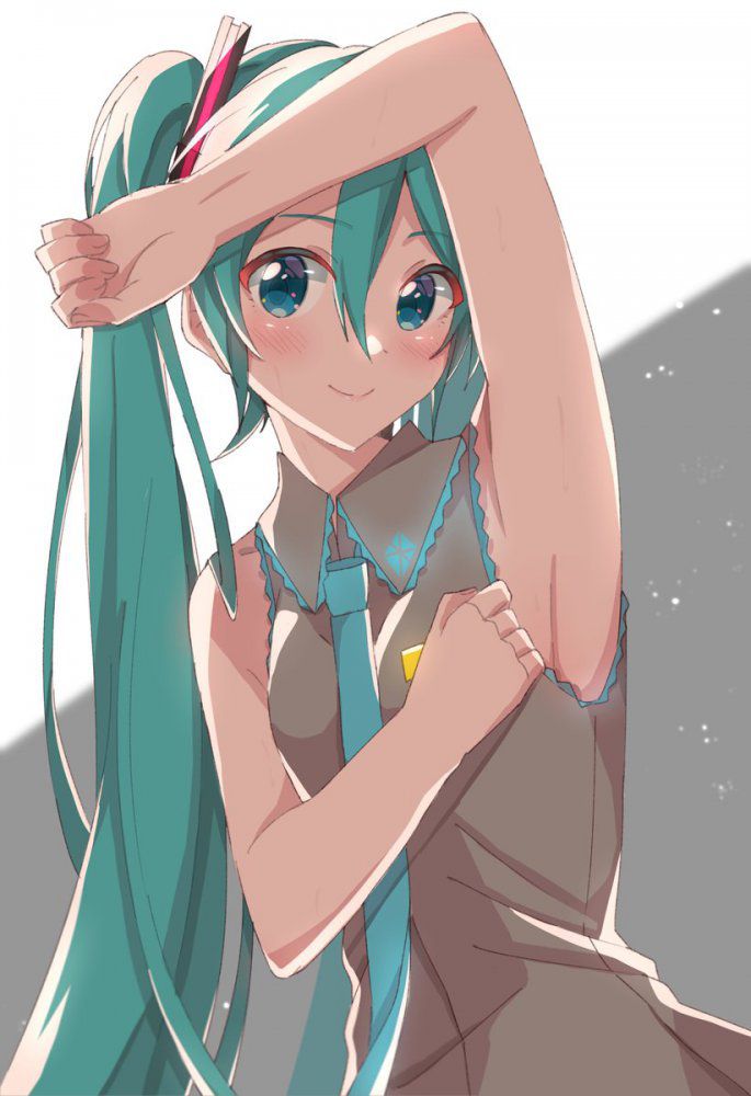 Vocaloid images are too erotic www www 14