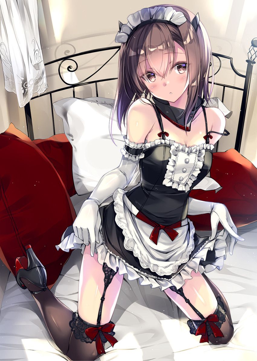 I put together a two-dimensional erotic image of the maid because the delusion does not stop because I want to be taken care of every day by a cute maid. 28