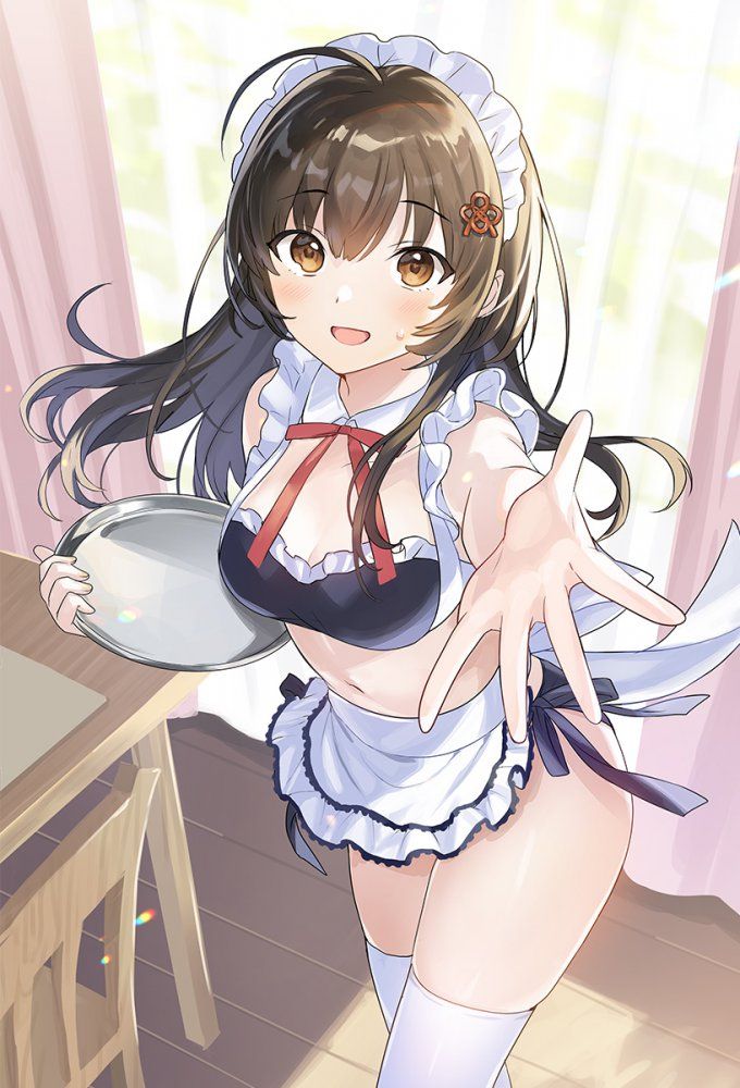 【Second】Maid Girl Image Part 23 9