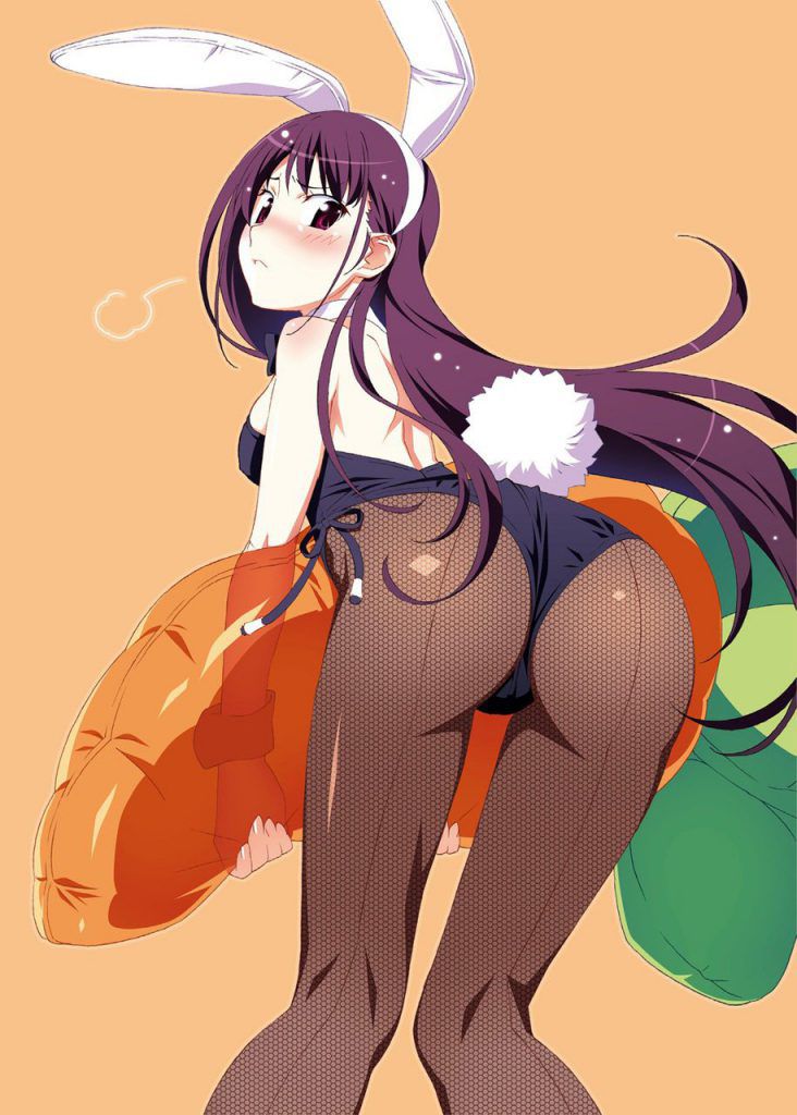 Let's be happy to see the erotic image of bunny girl! 5