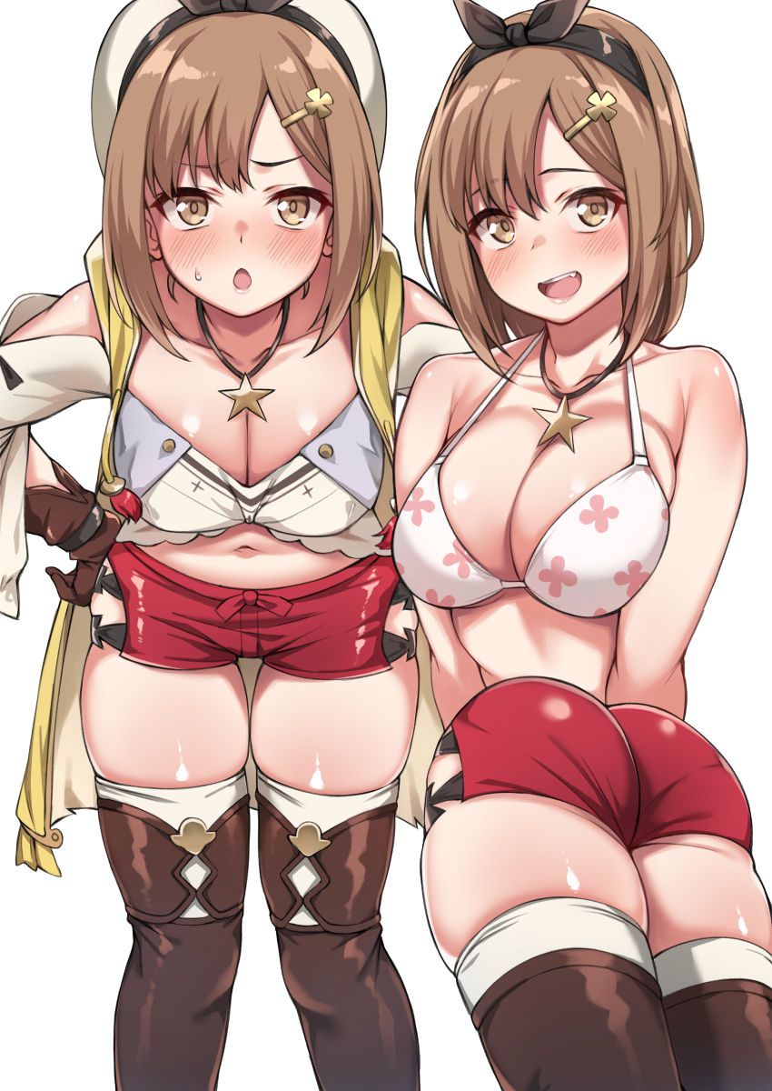 Reisalin Stout collection (Atelier Ryza) 381