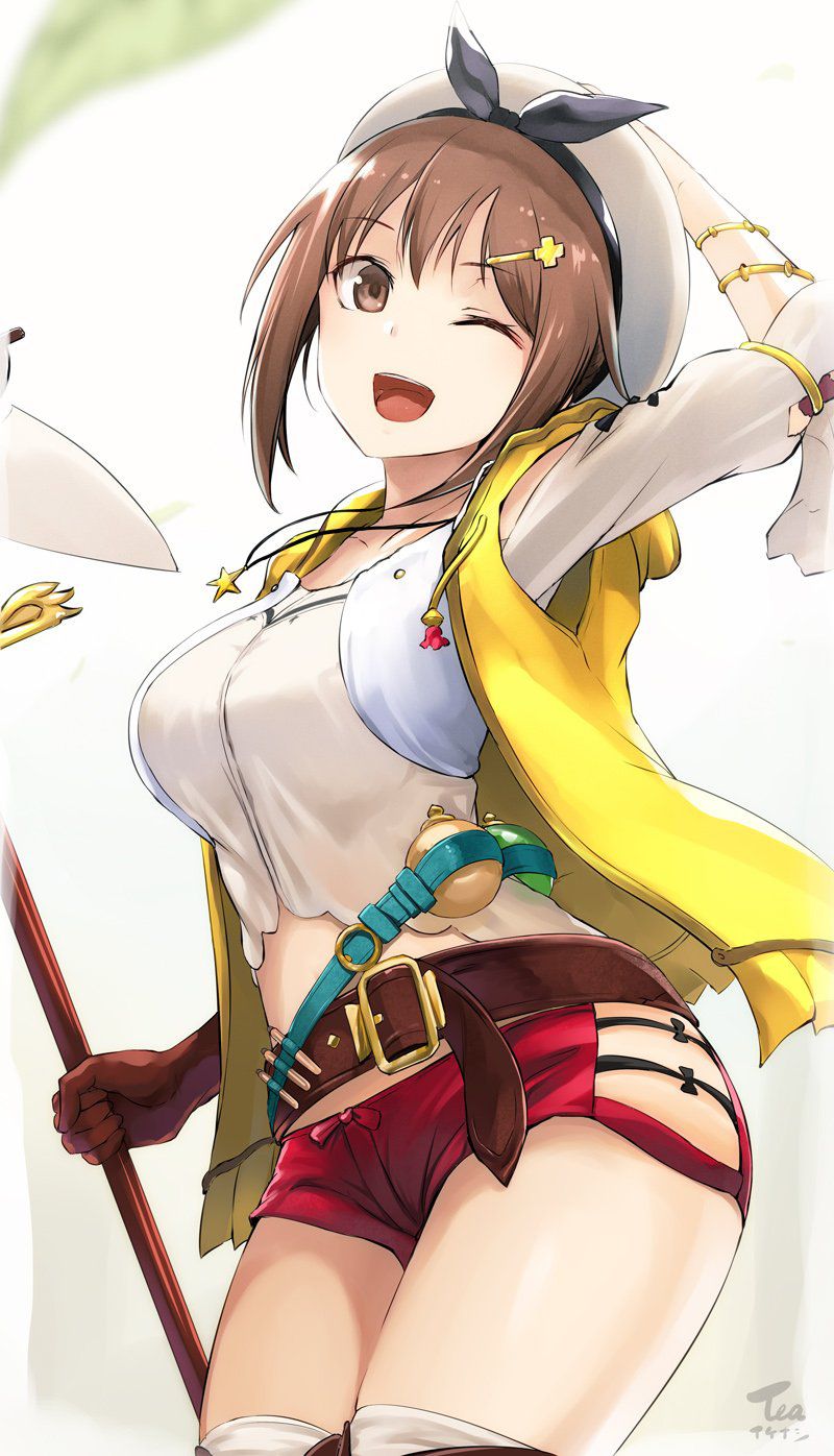 Reisalin Stout collection (Atelier Ryza) 387