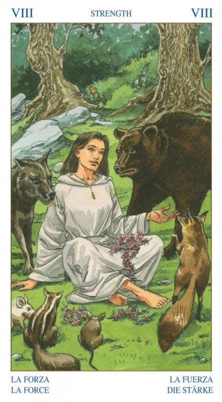 [Luca Raimondo, Gina M. Pace] The Pagan Tarot 12