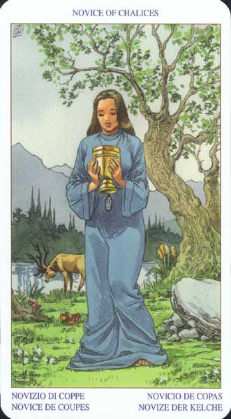 [Luca Raimondo, Gina M. Pace] The Pagan Tarot 65