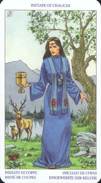 [Luca Raimondo, Gina M. Pace] The Pagan Tarot 66