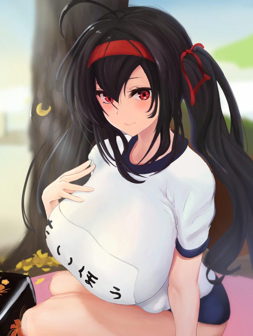 [Azur Lane] erotic image of the aircraft carrier Daiho (3) 14