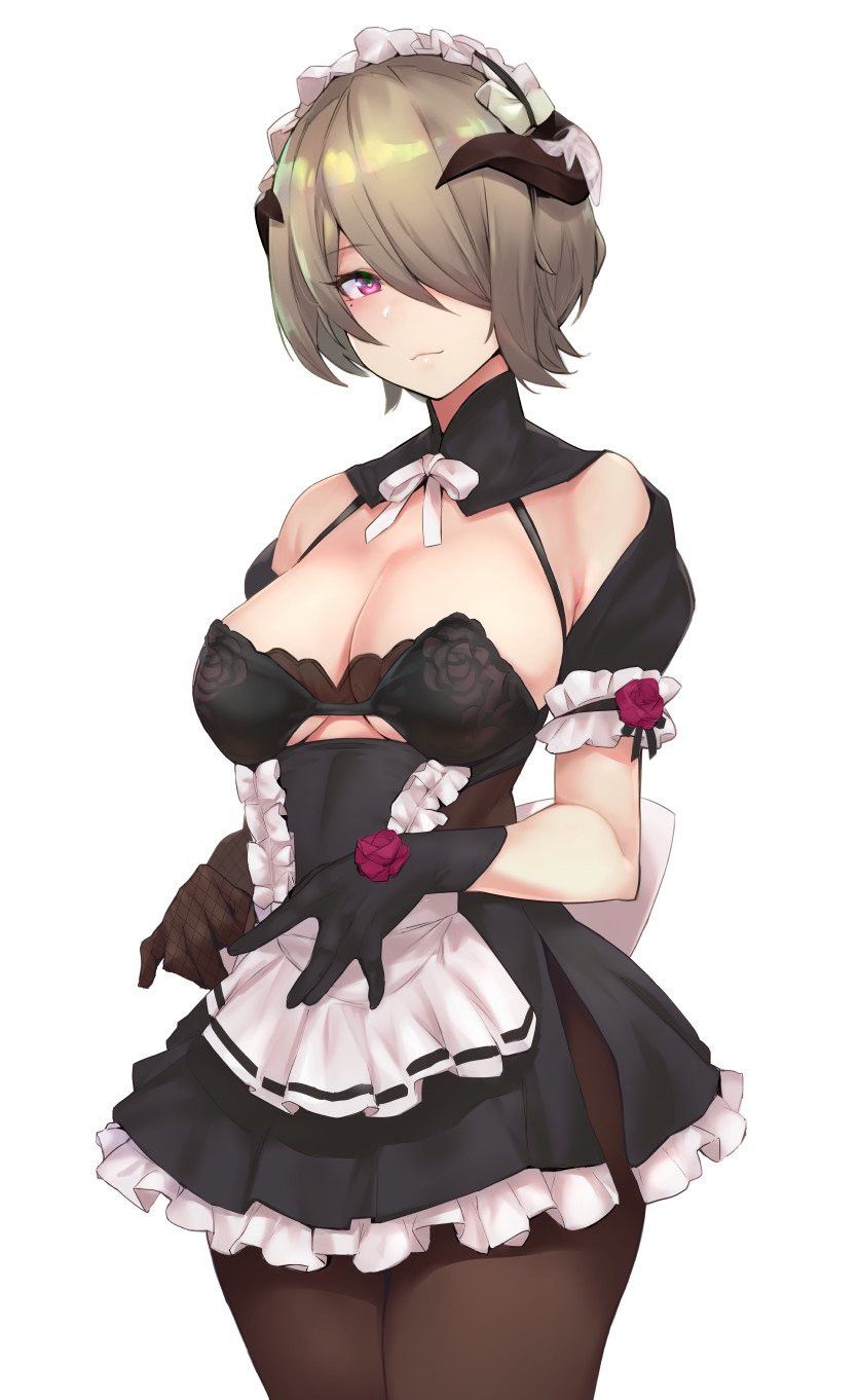 If there is such a maid, I want to serve all day from morning to night, and the two-dimensional erotic image of the maid 35