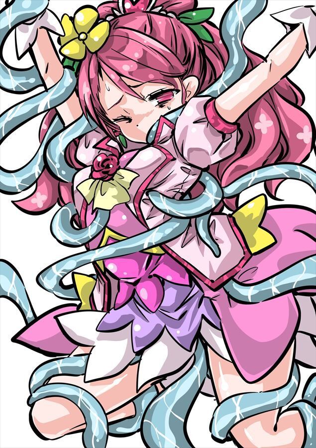 Pretty Cure's image warehouse is here! 3