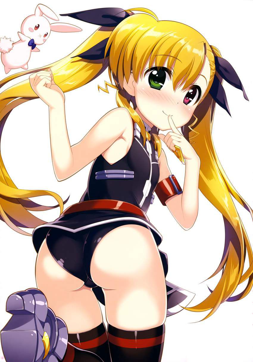 How about the secondary erotic image of the magical girl Lyrical Nanoha which seems to be able to be done to Okaz? 6