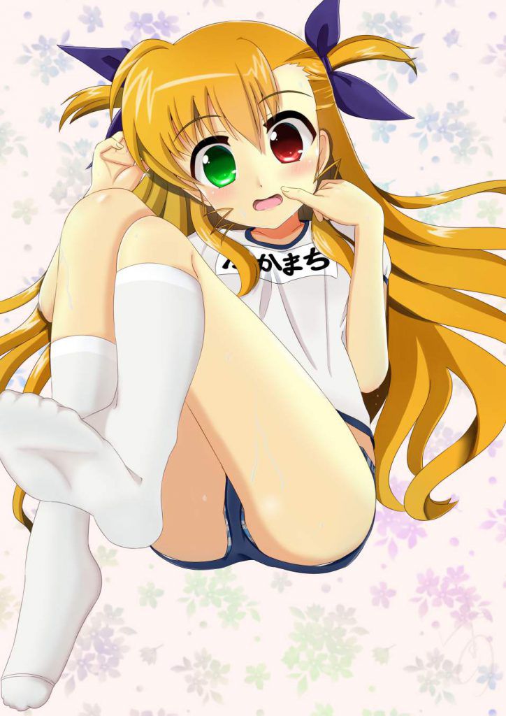 How about the secondary erotic image of the magical girl Lyrical Nanoha which seems to be able to be done to Okaz? 9