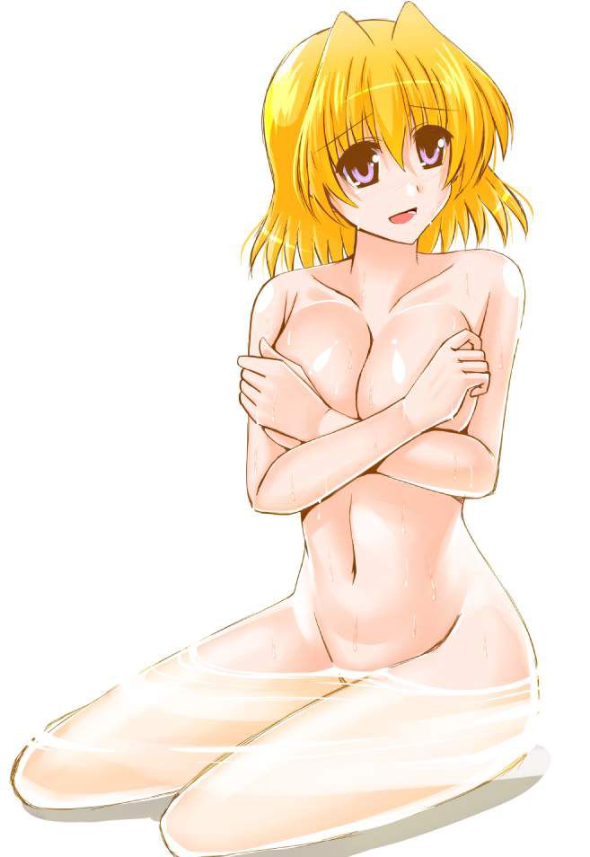 Erotic image of Magical Girl Lyrical Nanoha 6