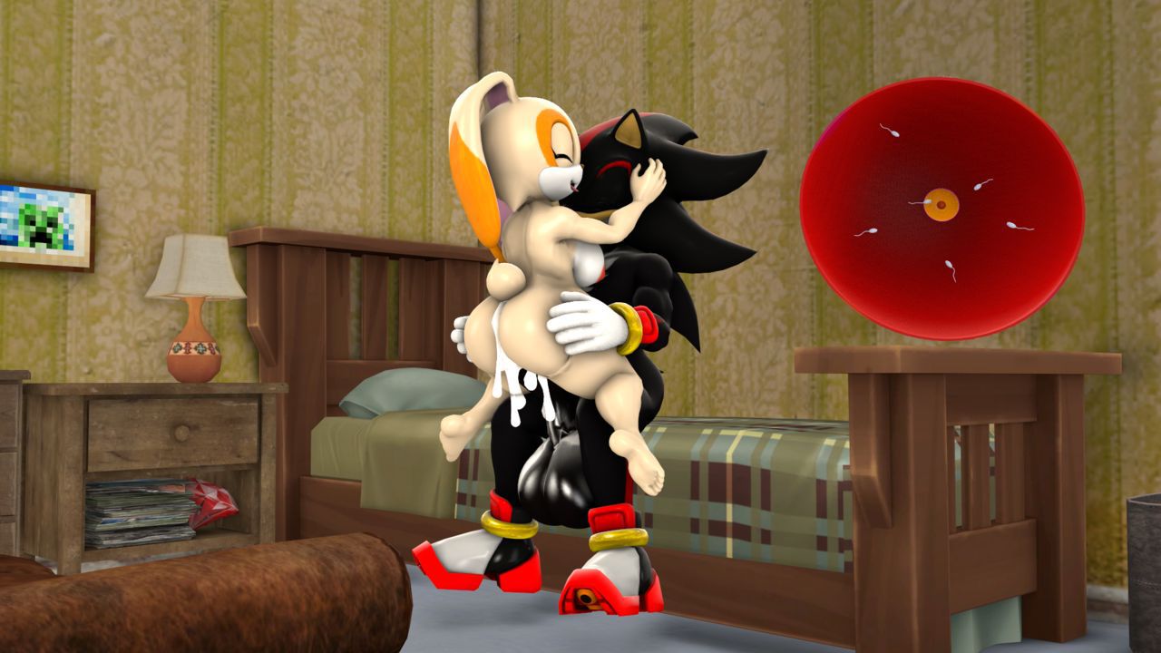 [BlueApple] Shadow's Girlfriend (Sonic The Hedgehog) 10