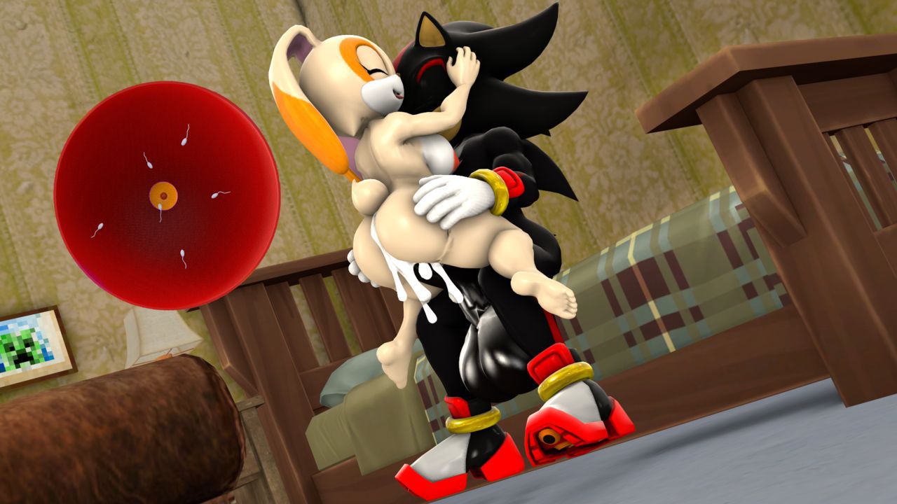 [BlueApple] Shadow's Girlfriend (Sonic The Hedgehog) 11