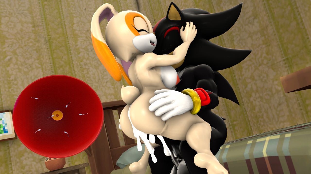 [BlueApple] Shadow's Girlfriend (Sonic The Hedgehog) 9