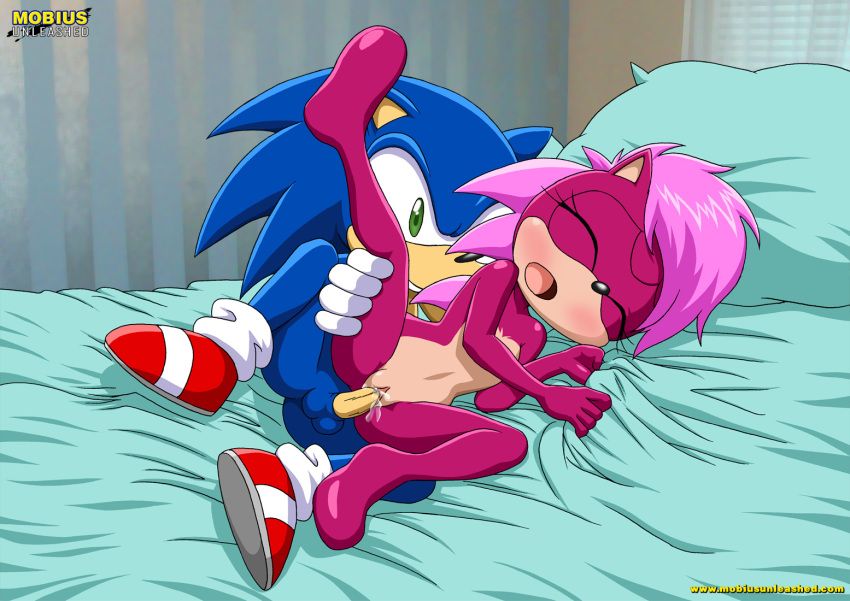 Sonic Incest Gallery 10