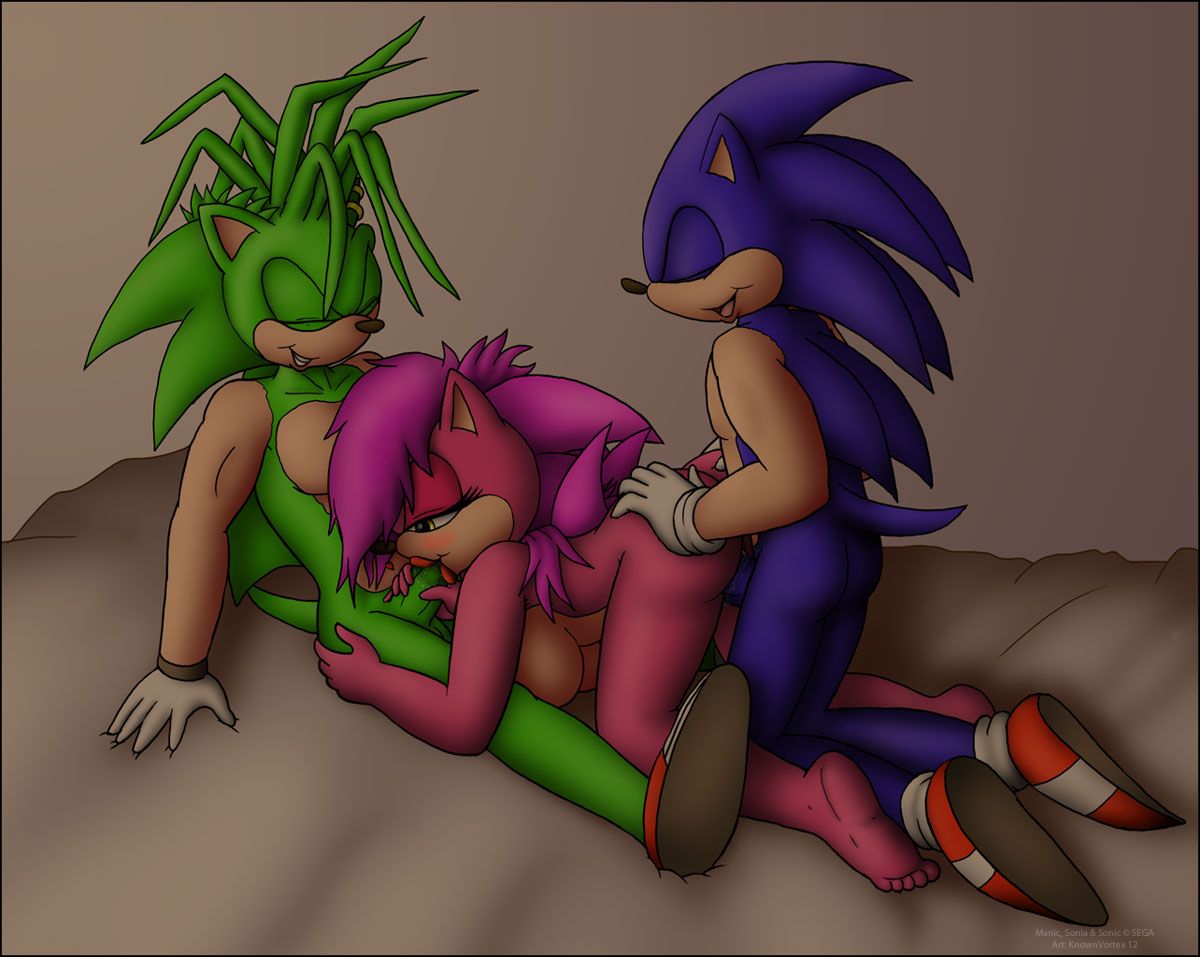 Sonic Incest Gallery 30