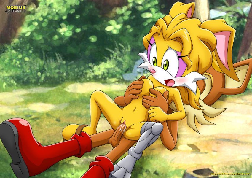 Sonic Incest Gallery 334
