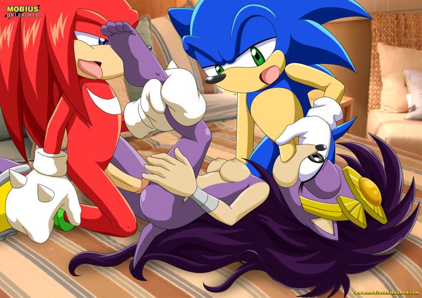 Sonic Incest Gallery 60