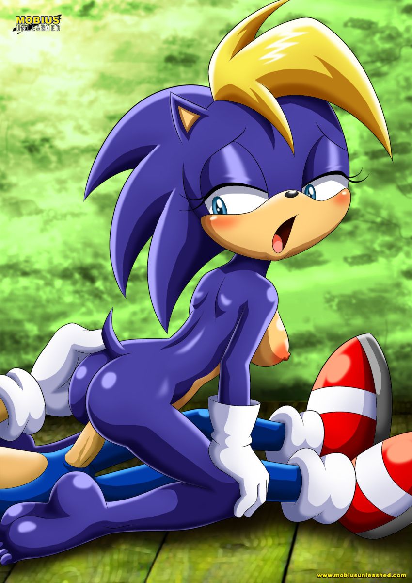 Sonic Incest Gallery 71