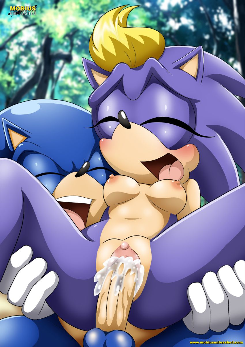 Sonic Incest Gallery 72