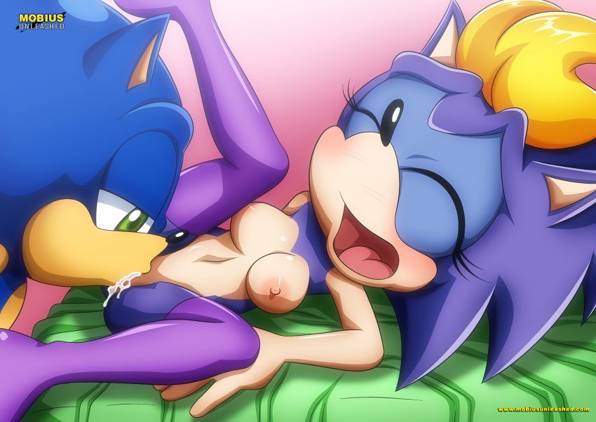 Sonic Incest Gallery 76