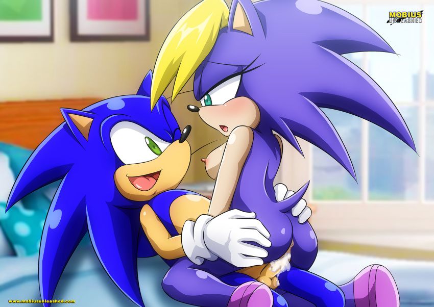 Sonic Incest Gallery 77