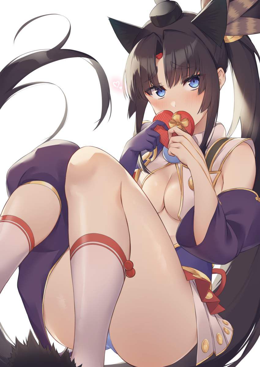 【Fate/Grand Order】Erotic image of Ushiwakamaru 2 ... 48