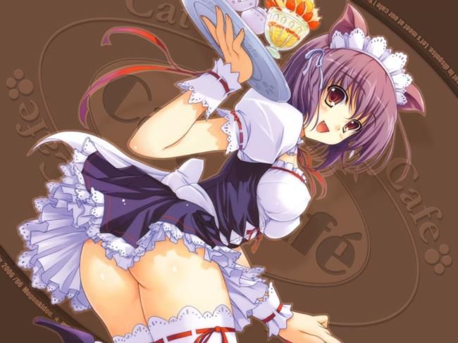 The erotic image supply of the maid! 10