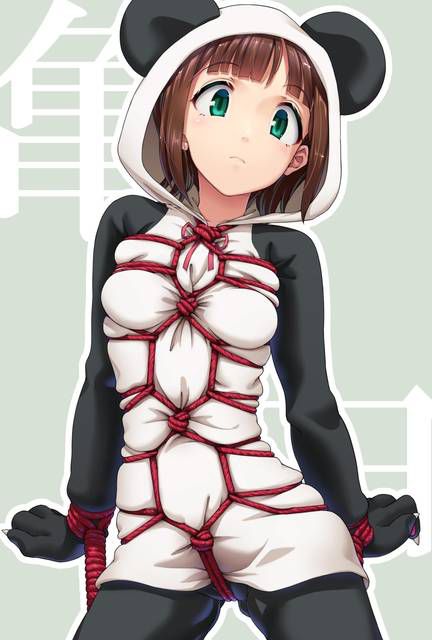 Image summary of Idolmaster Haruka Amami (Haruka Kumaneko, Panda Kos) 1