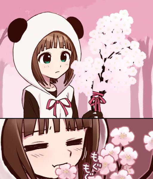 Image summary of Idolmaster Haruka Amami (Haruka Kumaneko, Panda Kos) 4