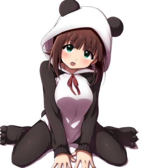 Image summary of Idolmaster Haruka Amami (Haruka Kumaneko, Panda Kos) 8